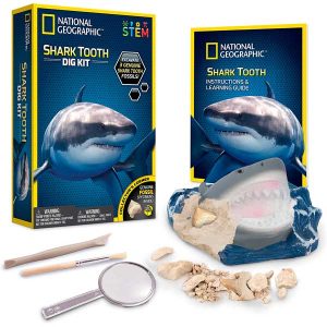 National Geographic Descubre Diente Tiburón